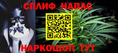 Альфа ПВП Будённовск