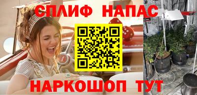 Альфа ПВП Будённовск